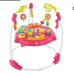Fisher-Price Baby Bouncer Pink Petals Jumperoo
